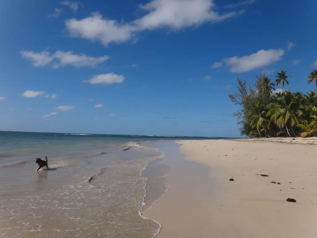 Hotel La Cortesana Las Terrenas Dominikanische Republik